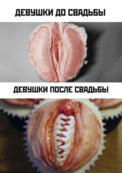 Kartinki-i-memy-7