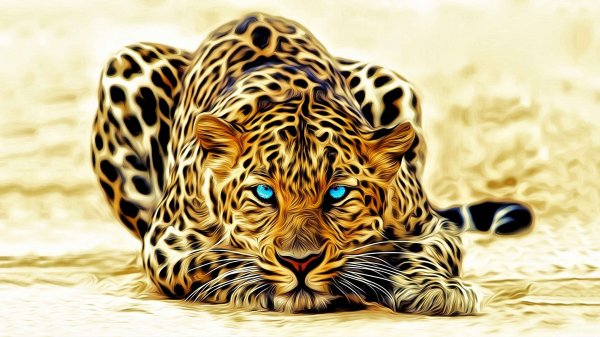 Leopards-3638