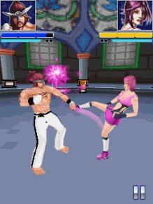 The Fight 3D 240x320 Сенсор И Кнопки