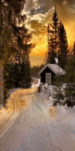 file_89363916