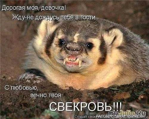 FB IMG 16954656199048251