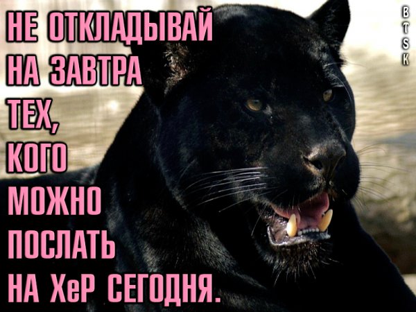 IMG 20191114 194125