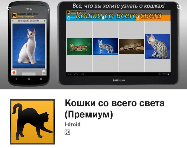Кошки со всего света (Премиум). ver. 2. 2
