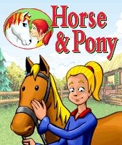 horse pony my stud farm