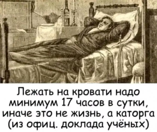 file_103591233