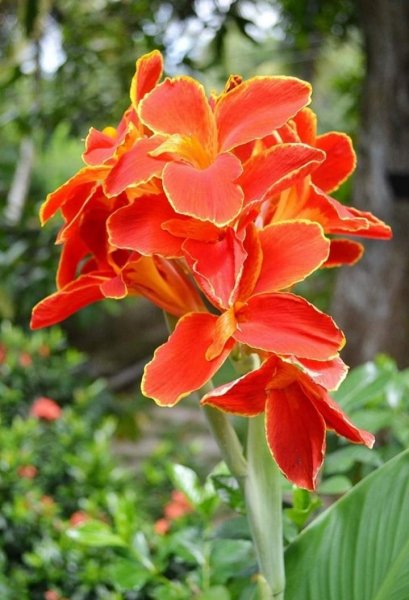 IMG 20200720 054455