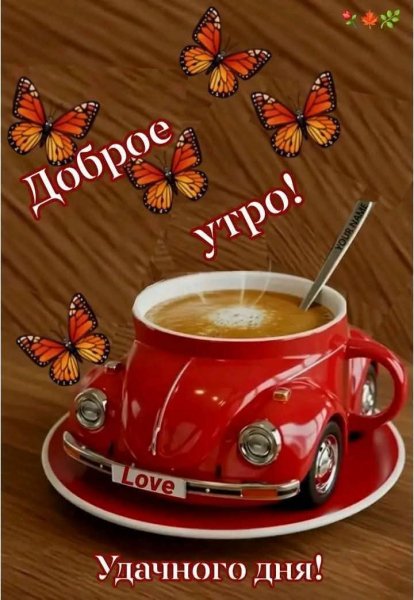 Доброе утро