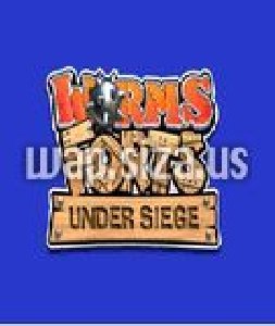 worms forts SE 176x220