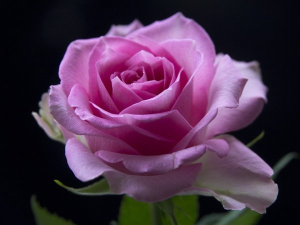 Image (68)