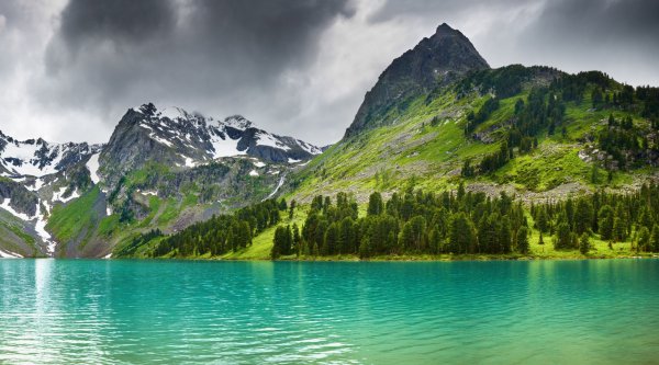 Image (25)