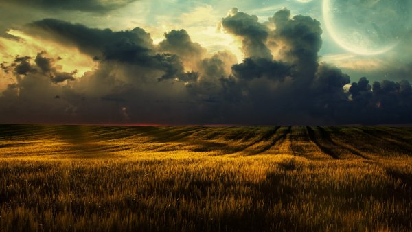 Image (103)
