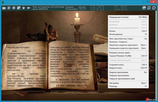 ICE Book Reader Professional 9. 6