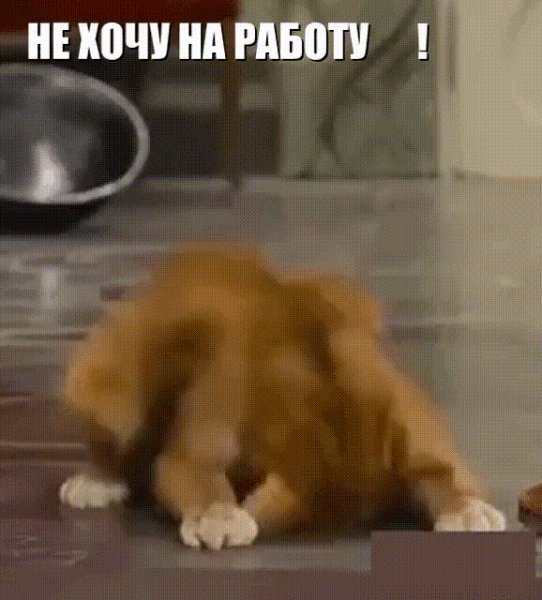 Завтра))
