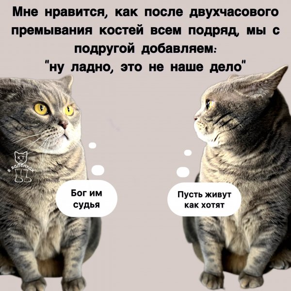 XkpgA48sXjE