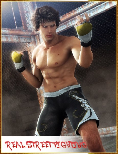 Real Street Fighting v 1. 04