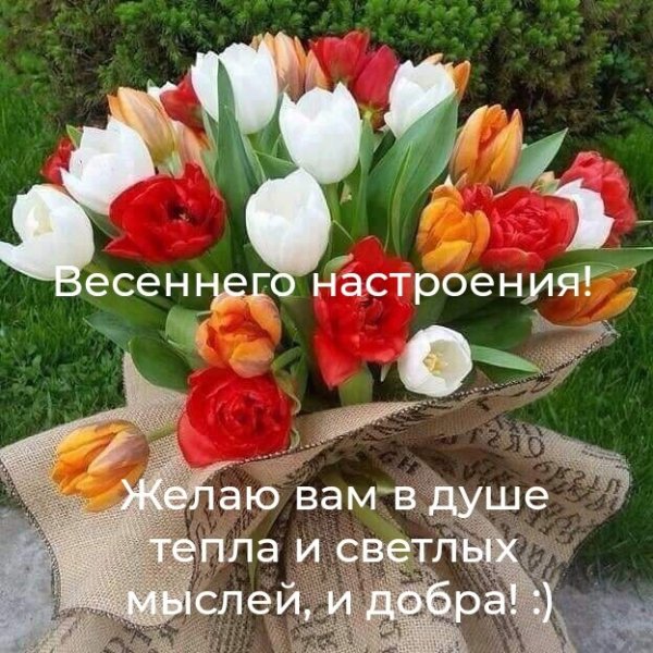 wHf7jSX1FGY