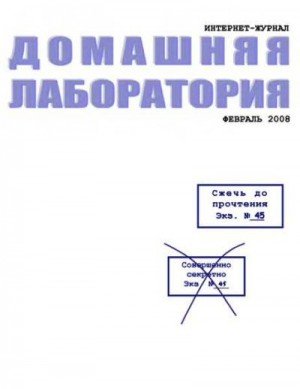 Интернет-журнал Домашняя лаборатория, 2008 2 (2008)