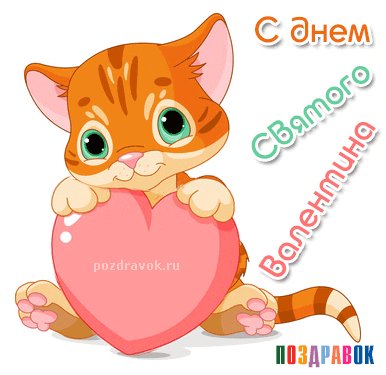 s-dnem-svyatogo-valentina-kotik-pozdravok