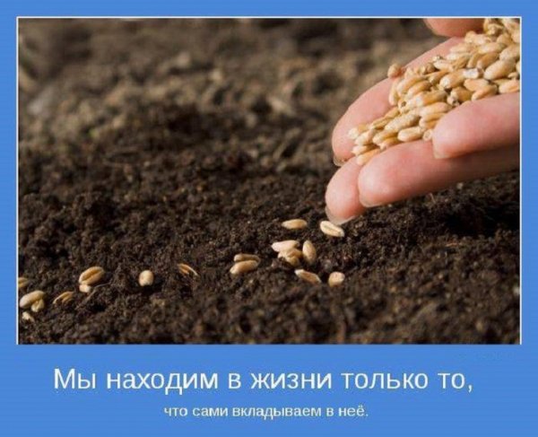 Мы находим в жизни только то
