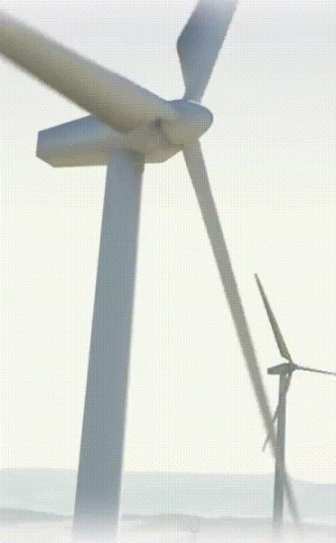 ветер. gif1