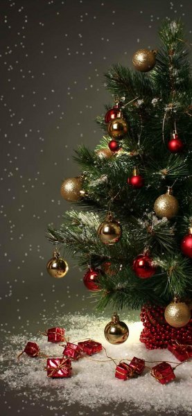 Christmas+Tree