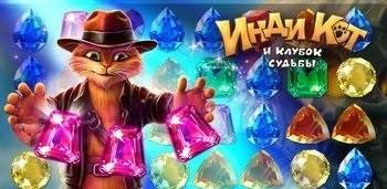 Инди Кот