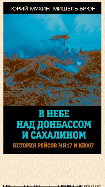 Ю. Мухин. История рейсов МН17 и КЕ007