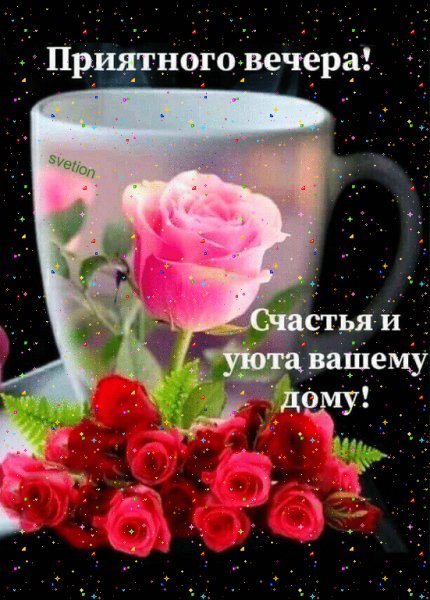 IMG 20220219 231203