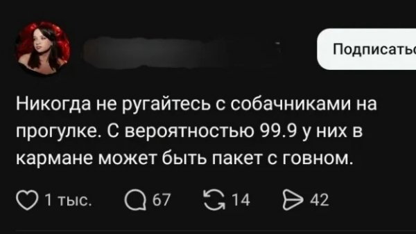 P vjQuiTUf