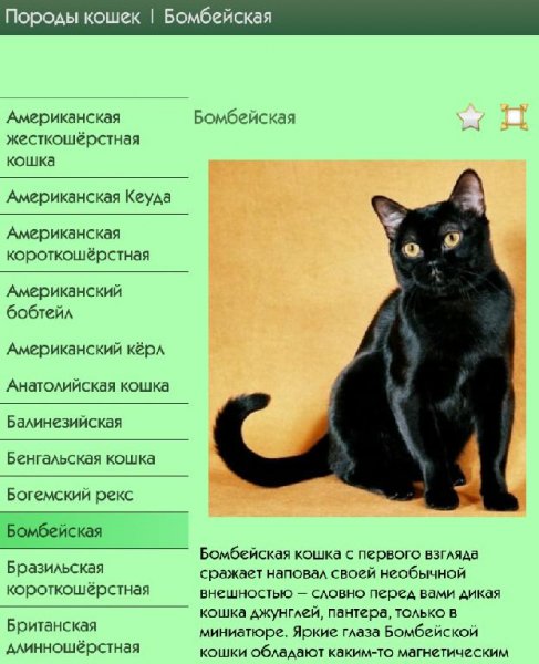 Породы кошек 1. 0. MultiPatch