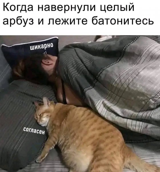 file_103598167