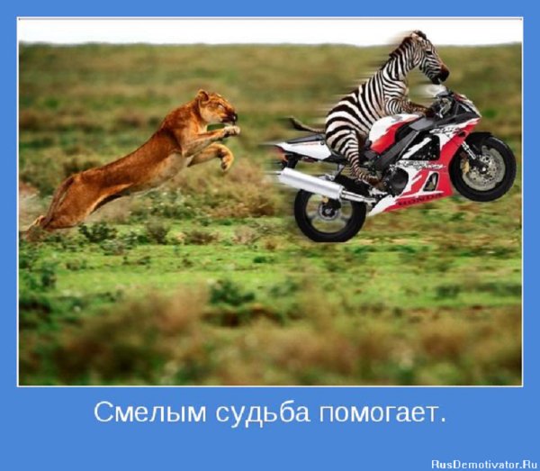 Смелым судьба помогает