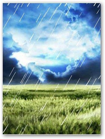 Rain