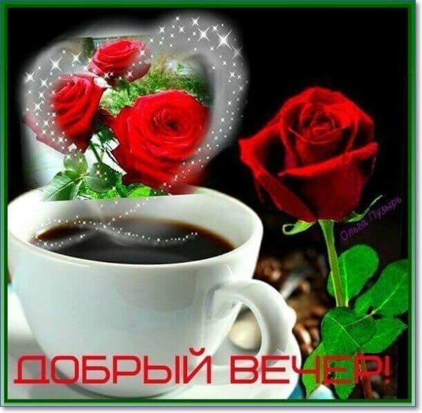 IMG 20181225 974080