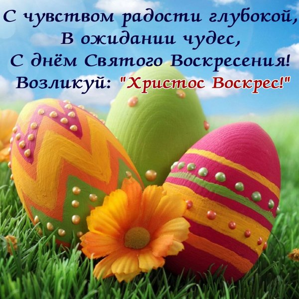 file_84185705