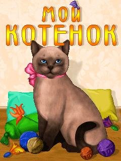 my cat