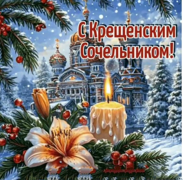 IMG 20260126 091931