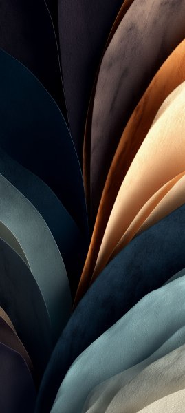 adapted 1080x2408 1784111036