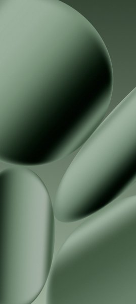 adapted 1080x2408 1744834552