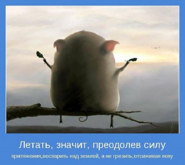 Летать, значит
