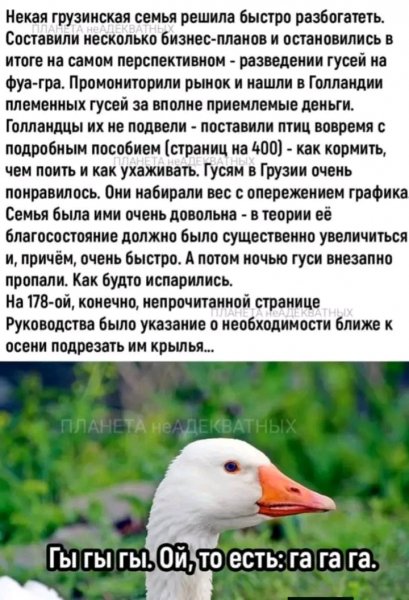 file_103605688