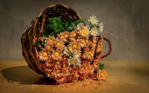 Img (45)