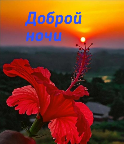 IMG 20210512 201717