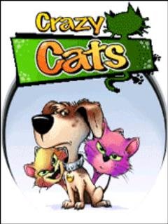 CrazyCats