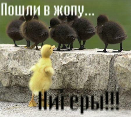 ratmp3-sms-prikolnaja wtuka Dosl