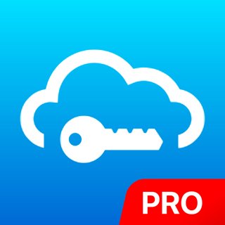 Password Manager SafeInCloud Pro 19. 4. 2