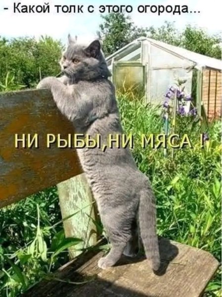 file_103605685