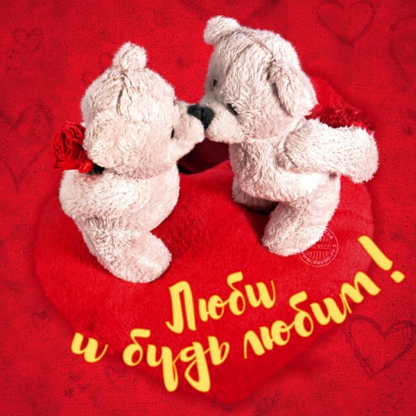 valentines-427