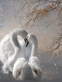 Файл #60081770