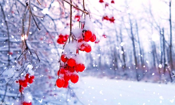 Файл #96028932